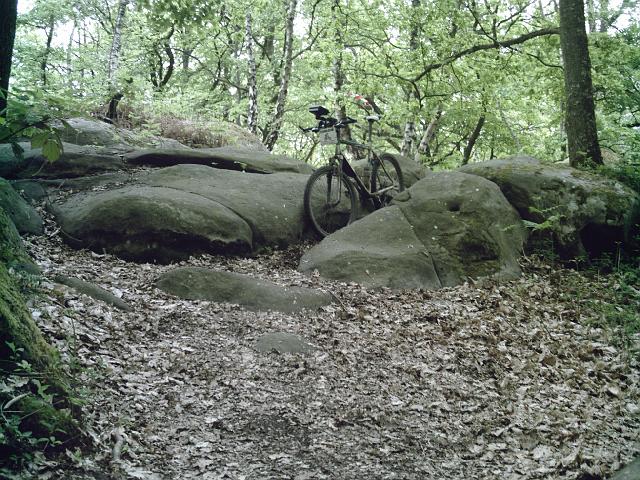2009-05-03-coudray (05)