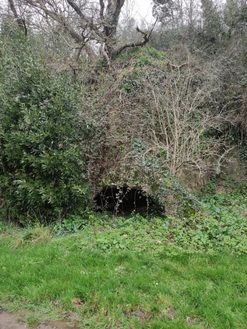 2021-02-21 - apremont (05)