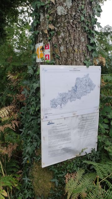 2021-08-01 - aizenay (13)