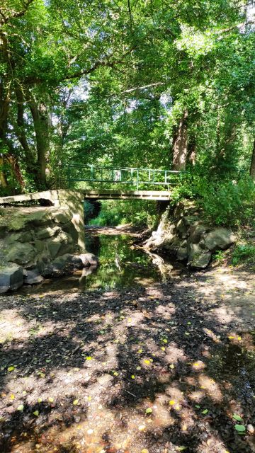 2021-08-29 - apremont (10)