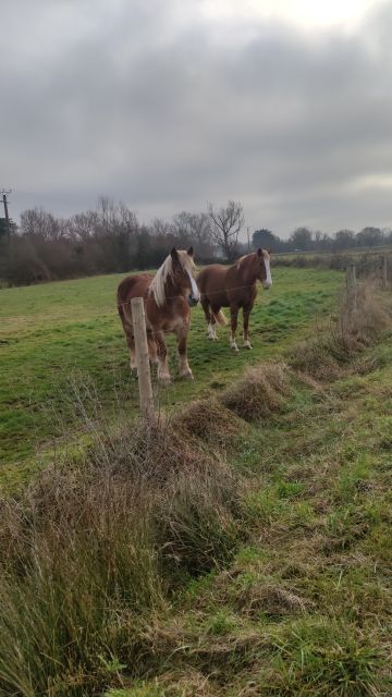 2021-12-19 - saint-jean-de-monts (05)