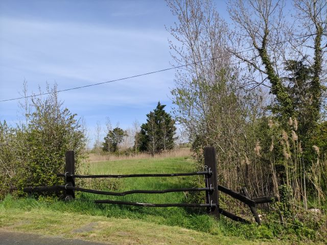 2021-04-08 - saint-jean-de-monts (04)