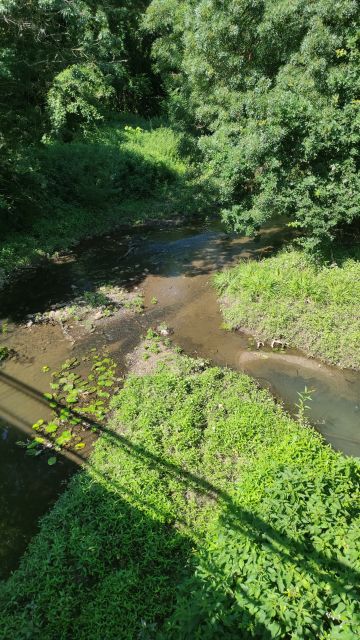 2021-06-25 - la-roche-sur-yon (04)