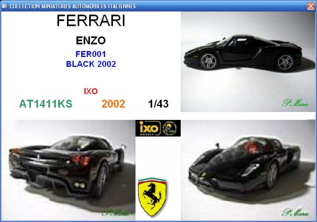 FER ENZO (3)