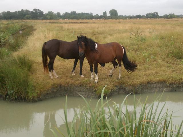 2012-07-31 - beauvoir (00)