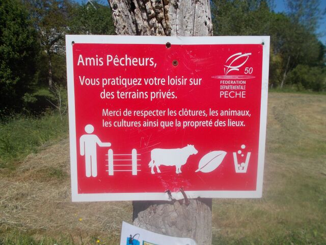 2017-05-26 - coutances (085)