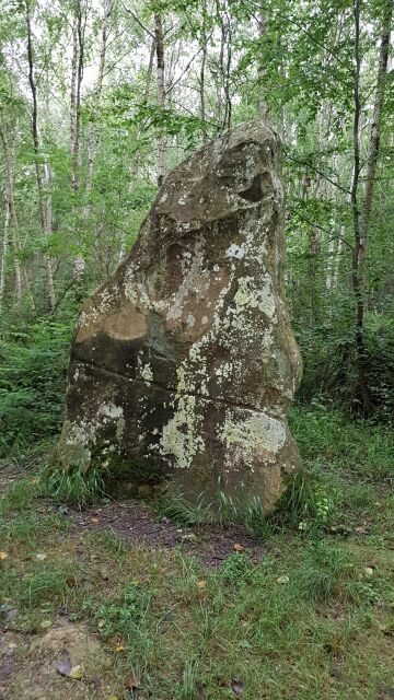 2017-07-02-boissy-le-chatel (16)
