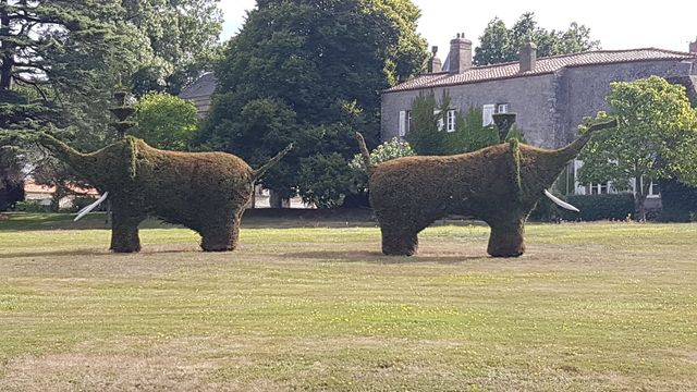 2017-08-01 saint-christophe-du-ligneron (07)