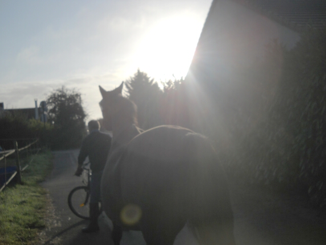 2014-08-31-rambouillet (01)