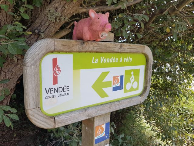 2020-08-30 - chateau-d-olonne (15)