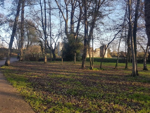 2020-12-06 - st-maixent-sur-vie (01)