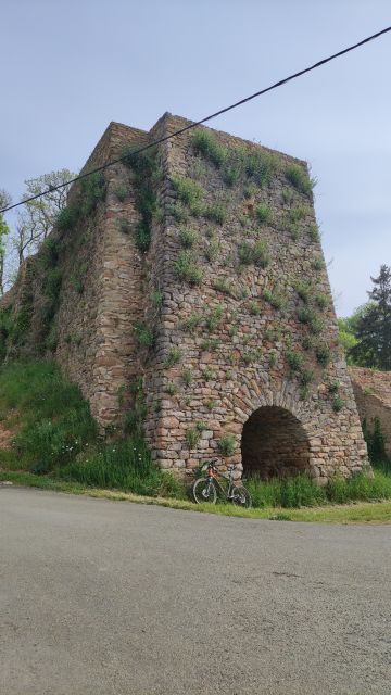 2022-05-02 - sille (15)
