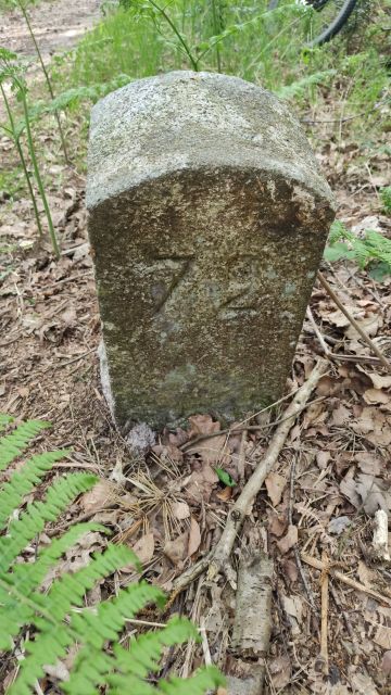 2022-05-02 - sille (18)