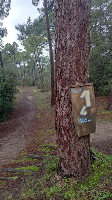 2022-12-11 - la-barre-de-monts (12)