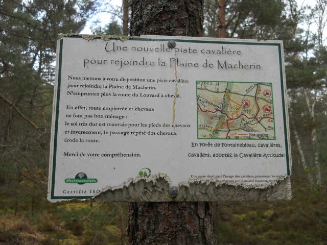 2015-02-08-dammarie-les-lys (09)
