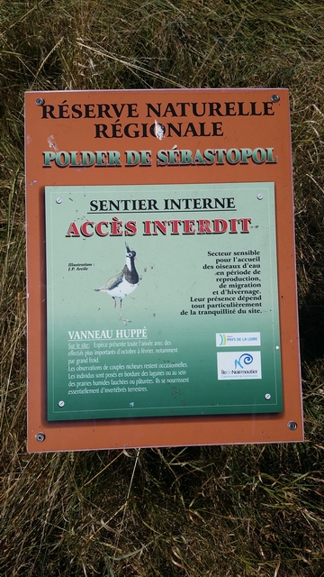 2015-07-10-noirmoutier (10)