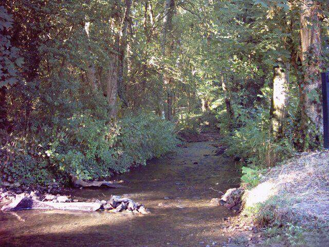 2005-06-19 Verneuil (07)
