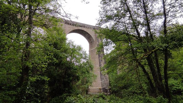 2023-05-07 - saint-hilaire-de-clisson (08)