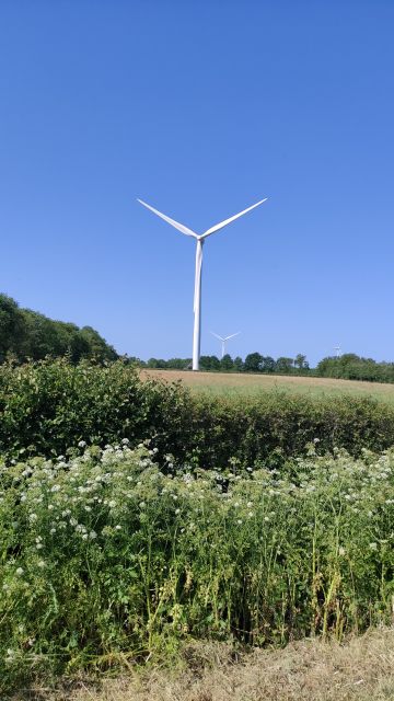 2023-06-04 - bourgneuf-en-retz (14)