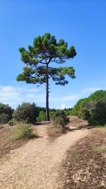 2023-08-26 - saint-jean-de-monts (06)